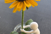 Blumenmännchen